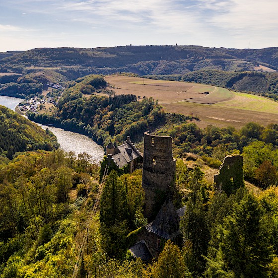 Burgruine Falkenstein