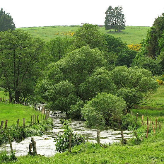 Fluss Wiltz bei Schempech