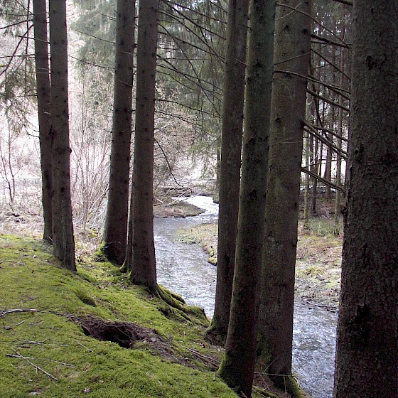 Im Ribbachtal bei Lieler