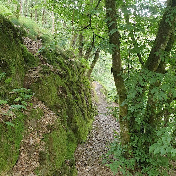 Wanderweg im Ourtal