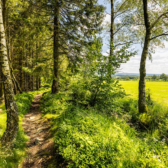 Unterwegs auf dem Kaiser-Karl-Weg